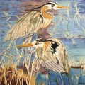 Blue Herons